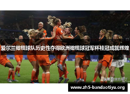 爱尔兰橄榄球队历史性夺得欧洲橄榄球冠军杯桂冠成就辉煌 爱尔兰橄榄球队历史性夺得欧洲橄榄球冠军杯桂冠成就辉煌