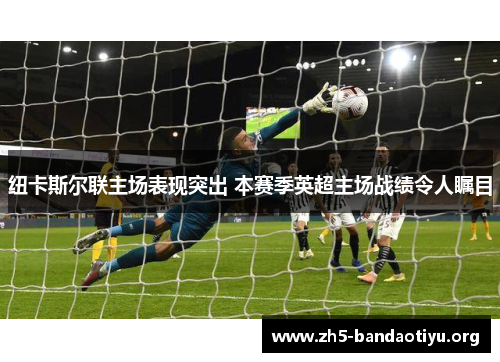 纽卡斯尔联主场表现突出 本赛季英超主场战绩令人瞩目 纽卡斯尔联主场表现突出 本赛季英超主场战绩令人瞩目