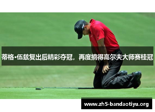 蒂格·伍兹复出后精彩夺冠,再度摘得高尔夫大师赛桂冠 蒂格·伍兹复出后精彩夺冠,再度摘得高尔夫大师赛桂冠