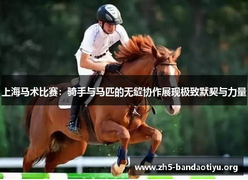 上海马术比赛:骑手与马匹的无缝协作展现极致默契与力量 上海马术比赛:骑手与马匹的无缝协作展现极致默契与力量