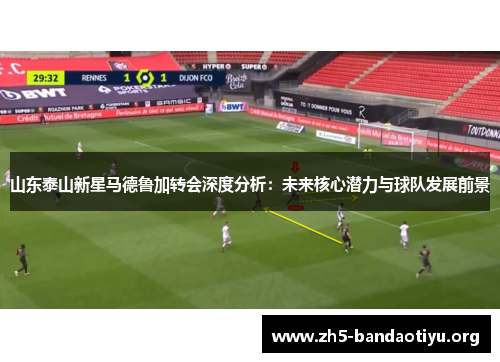 山东泰山新星马德鲁加转会深度分析:未来核心潜力与球队发展前景 山东泰山新星马德鲁加转会深度分析:未来核心潜力与球队发展前景