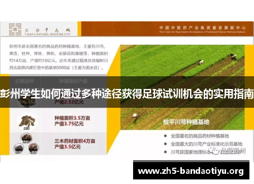 彭州学生如何通过多种途径获得足球试训机会的实用指南 彭州学生如何通过多种途径获得足球试训机会的实用指南