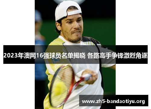 2023年澳网16强球员名单揭晓 各路高手争锋激烈角逐