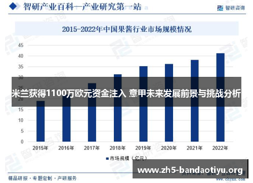 米兰获得1100万欧元资金注入 意甲未来发展前景与挑战分析 米兰获得1100万欧元资金注入 意甲未来发展前景与挑战分析