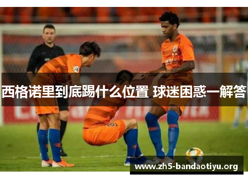 西格诺里到底踢什么位置 球迷困惑一解答 西格诺里到底踢什么位置 球迷困惑一解答