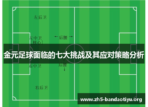 金元足球面临的七大挑战及其应对策略分析 金元足球面临的七大挑战及其应对策略分析